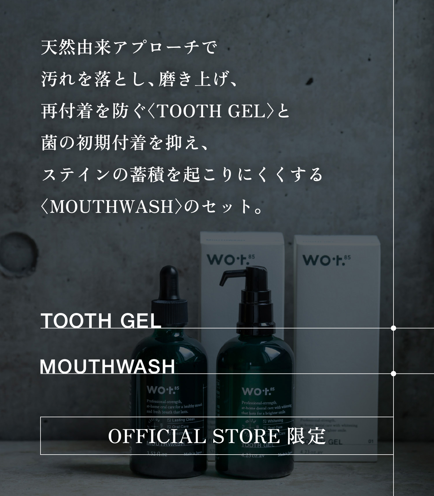 このページを見た人だけの特別な限定セット